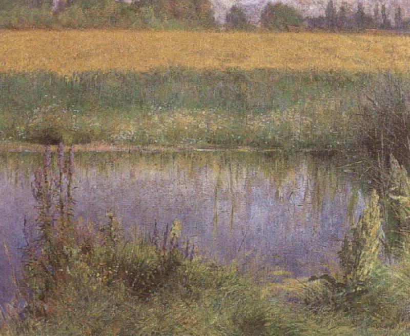 Field of Lupins, Wladyslaw Podkowinski